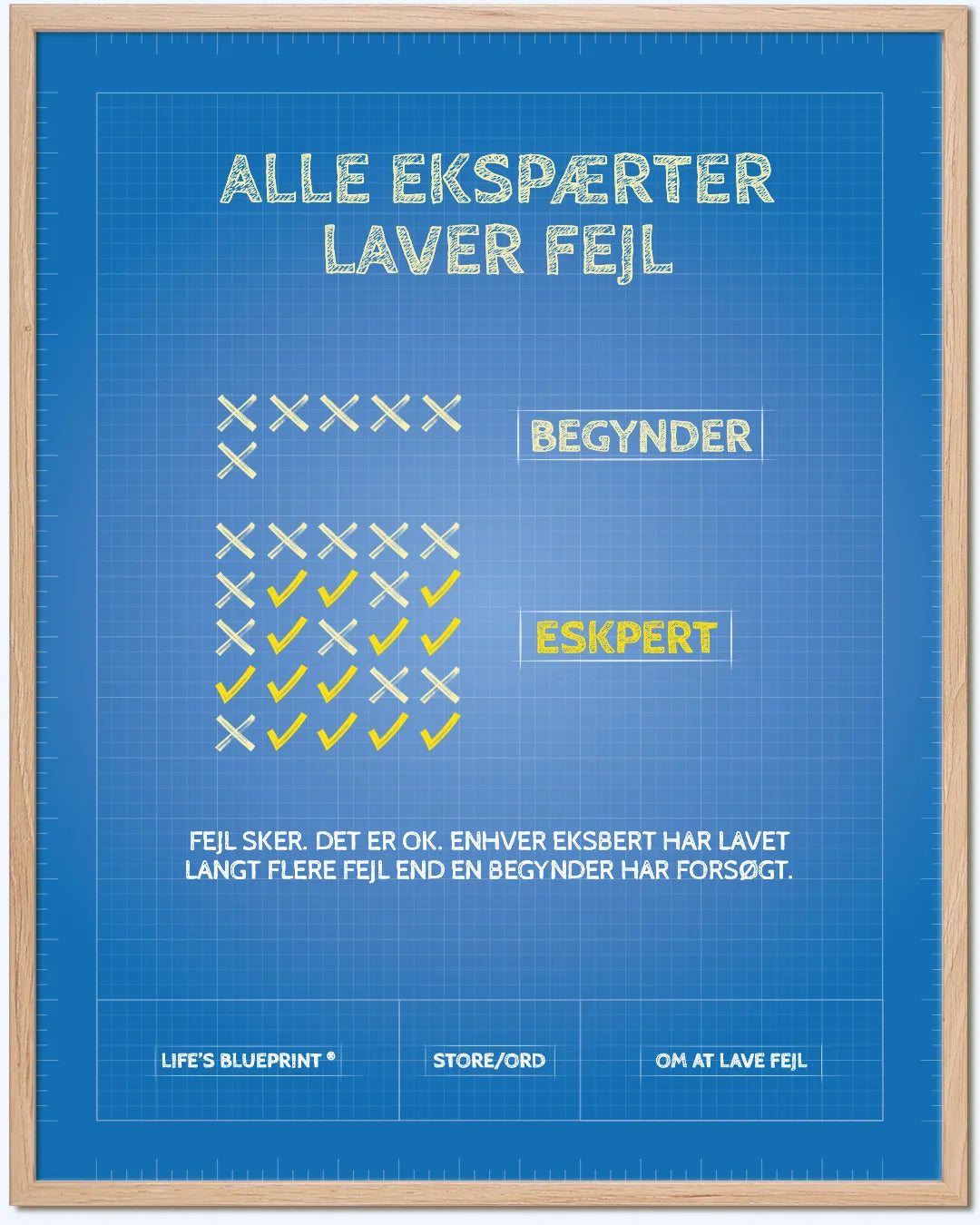 Alle ekspærter laver fejl