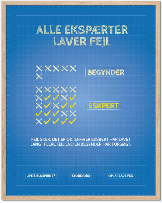 Alle ekspærter laver fejl